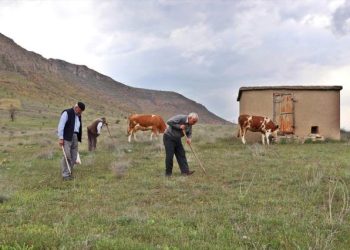 Baharla Gelen Lezzet: Kumi Kebabı