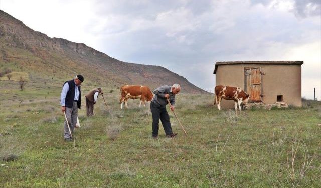 Baharla Gelen Lezzet: Kumi Kebabı