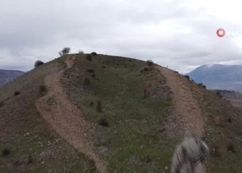 Depremde devrilen 2 bin 43 yıllık sütun Nisan ayında yeniden ayağa kalkacak