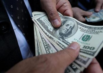 Dolar 19,02 lira seviyesinden işlem görüyor