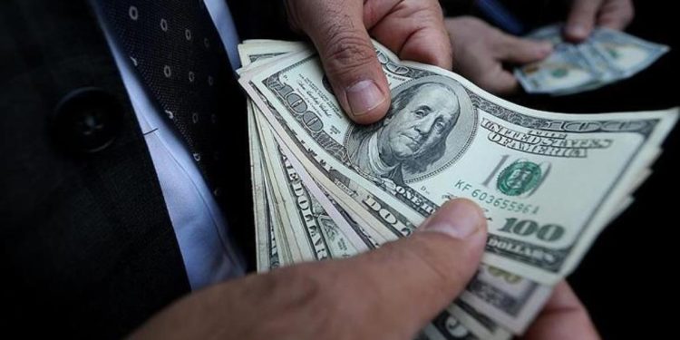 Dolar 19,02 lira seviyesinden işlem görüyor