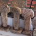 Göbeklitepe’den İlham Aldığı Minyatür Taşları Dünyaya Pazarlıyor