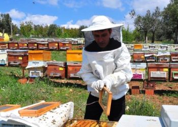 Gramı 400 Lira, Kilosu 400 Bin Lira! Zehir Üreterek Para Kazanıyor