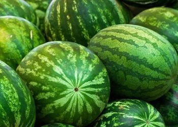 Karpuz Pahalı Olunca Dilim Dilim Satılıyor