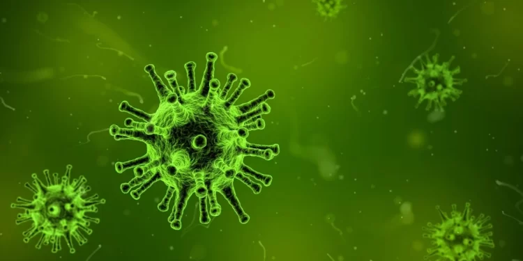 Dang humması nedir? Dang Humması hastalık belirtileri nelerdir?