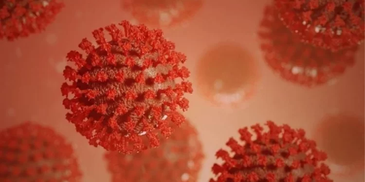 Eris virüsü vaka sayısı kaç? Koronavirüsün yeni varyantı Eris hızla yayılıyor