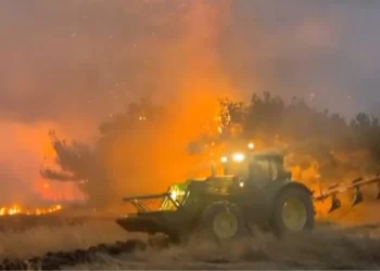 Yunanistan’ın Dedeağaç ilindeki yangın nedeniyle bölgede acil durum ilan edildi