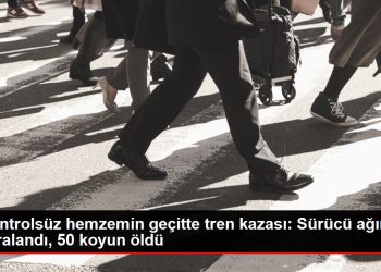 Kontrolsüz hemzemin geçitte tren kazası: Sürücü ağır yaralandı, 50 koyun öldü