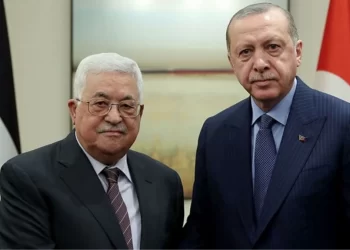 Son Dakika: Cumhurbaşkanı Erdoğan, Filistin Devlet Başkanı Mahmud Abbas ile görüştü